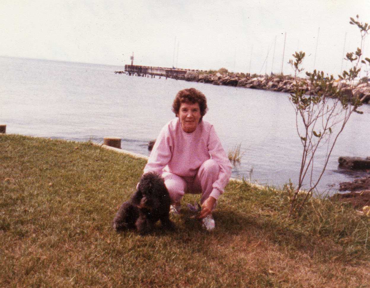 Image 90